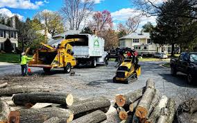 Best Tree Preservation Services  in Temelec, CA